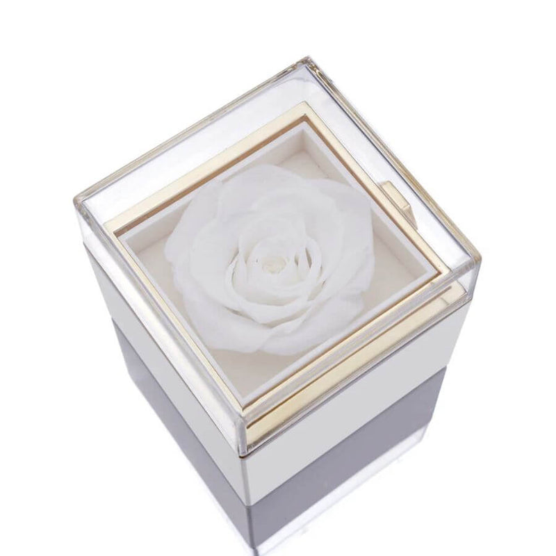 Colar Personalizado com Nomes + Caixa Amor de Rosas – Zéllora®